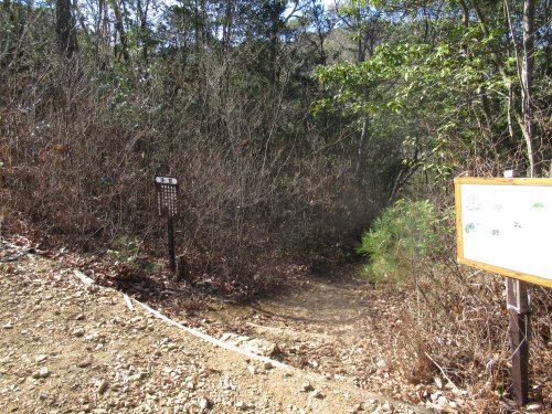 登山道